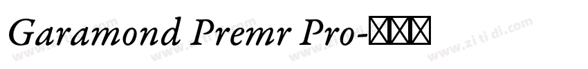 Garamond Premr Pro字体转换